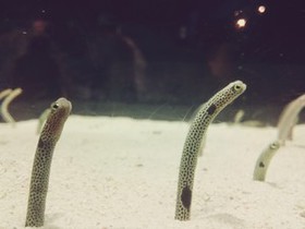 C360_2016-08-15-13-47-17-019.jpg