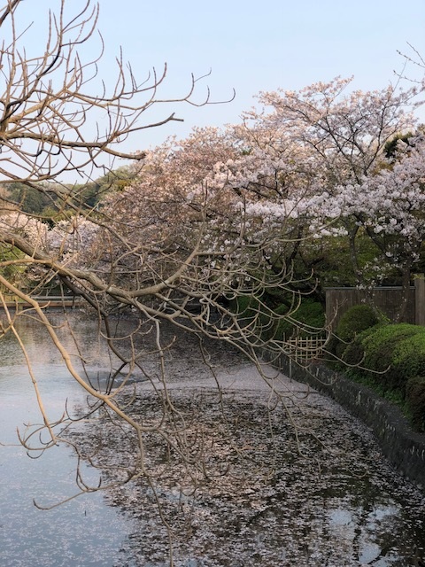 kamakura01.jpg