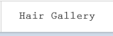 ヘアギャラリー